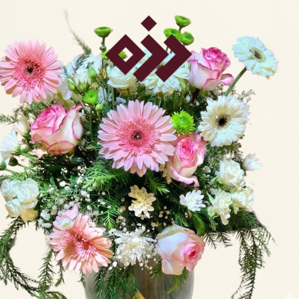 فازة عوار قلب